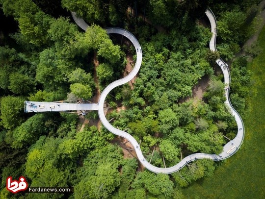 خیرا در سوییس یک پل پیاده راه افتتاح شده که تجربه پیاده روی در فضای میان نوک درختان یک جنگل را امکان پذیر می‌سازد.