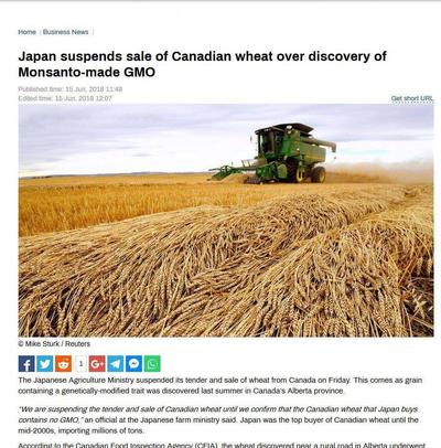 وزارت کشاورزی ژاپن، مناقصه و فروش گندم از کانادا را به‌دلیل آلوده بودن به گندم‌های تراریخته یا دستکاری شده ژنتیکی در استان البرتا معلق کرد. 