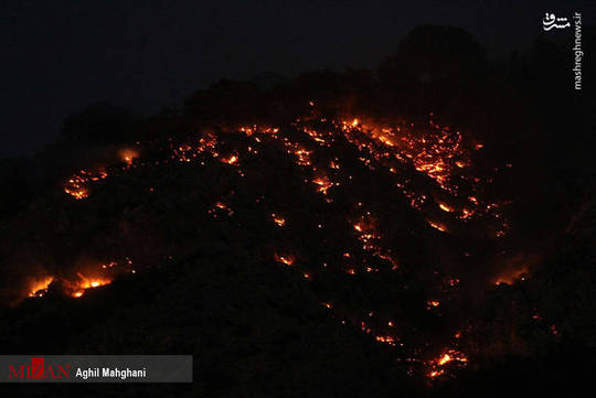 چندین هکتار از جنگل های مینودشت استان گلستان در آتش سوخت.