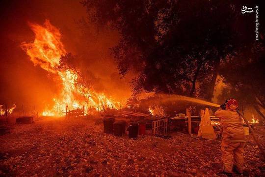 آتش‌سوزی‌های گسترده در کالیفرنیا جان دو کودک، یک زن سالخورده، یک مامور کلانتری و یک آتش‌نشان را گرفت و تعداد قربانیان این حادثه را به پنج تن رساند.
