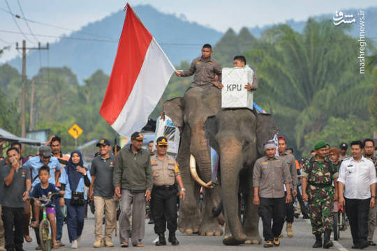 بزرگترین انتخابات یک روزه جهان امروز در اندونزی آغاز شد.
مسئولین برگزاری انتخابات برای جمع آوری آرای مردم در برخی مناطق صعب العبور از فیل استفاده کردند