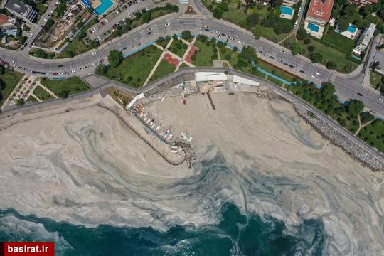 گسترش موسیلاژ دریایی (یک لایه لجن ضخیم) از طریق دریای مرمره در سواحل استانبول، ترکیه که تهدیدی برای زندگی دریایی و صنعت ماهیگیری است