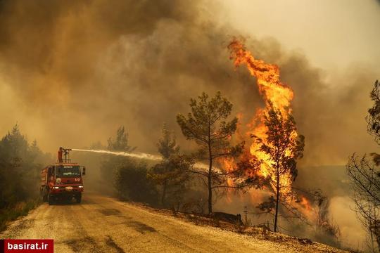 یک آتش نشان که آتش سوزی جنگل را در نزدیکی شهر ماناوگات خاموش می کند-آنتالیا ترکیه