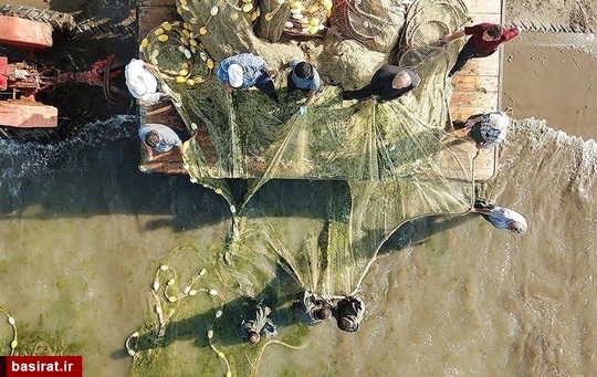 آغاز فصل صید ماهی در استان مازندران