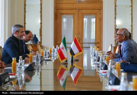 دیدار «حسین عوض» وزیر امور خارجه سودان با «علی باقری کنی» سرپرست وزارت خارجه