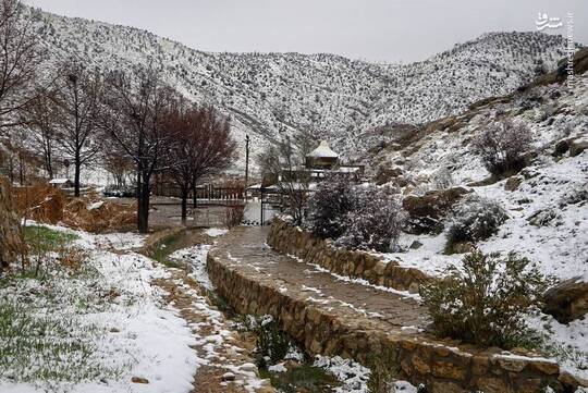 با بارش برف در ارتفاعات کوهستان دراک، امروز چهارشنبه ۱۵ اسفند طبیعت برفی و جلوه های زیبایی در پارک کوهستانی دراک در غرب شهر شیراز خلق کرده است.