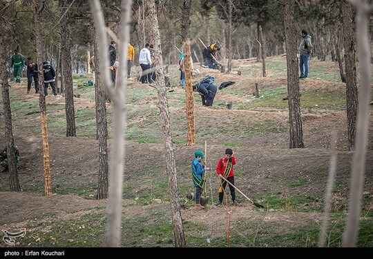 به مناسبت روز درختکاری ۲ هزار اصله نهال توسط دانش آموزان تهرانی در پارک جنگلی سرخه حصار تهران کاشته شد.