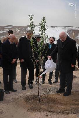 محمدباقر قالیباف رئیس مجلس به مناسبت روز درختکاری یک اصله نهال مثمر را در شرق شهر تهران غرس کرد.