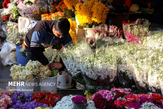 بازار گل محلاتی در آستانه نوروز