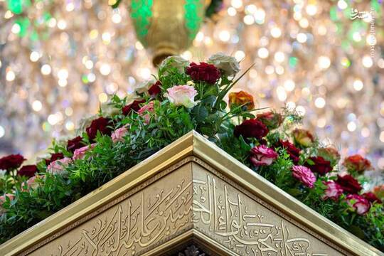گل‌آرایی ضریح سیدالشهدا در آستانه ولادت امام رئوف