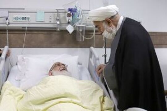 حجت‌الاسلام محمدی گلپایگانی رئیس‌ دفتر رهبر معظم انقلاب با حضور در منزل حضرات آیات مکارم شیرازی و سبحانی و عیادت از آیت‌الله نوری همدانی در بیمارستان سلام مقام معظم رهبری را ابلاغ کرد.