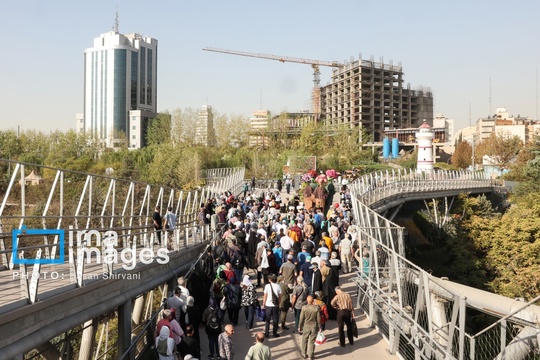 همایش پیاده روی خانوادگی، صبح پنجشنبه  با حضور تعدادی از خانواده های تهرانی از بوستان طالقانی به سمت پل طبیعت برگزار شد.