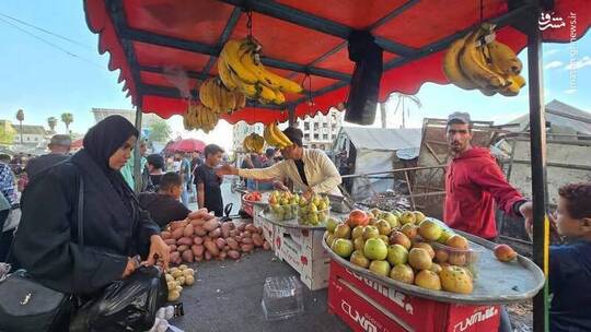 زندگی در غزه جاریست...