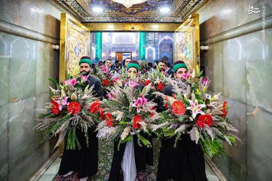 ضریح حضرت اباعبدالله الحسین علیهالسلام به مناسبت فرا رسیدن ایام ولادت حضرت زینب کبری سلامالله علیها گلآرایی شد.
