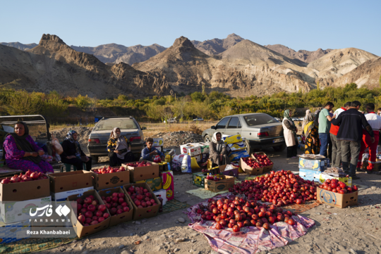جشنواره انار نمهیل