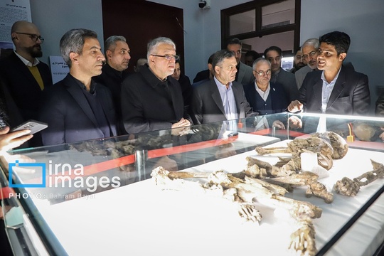 سفر وزیر میراث فرهنگی به زنجان