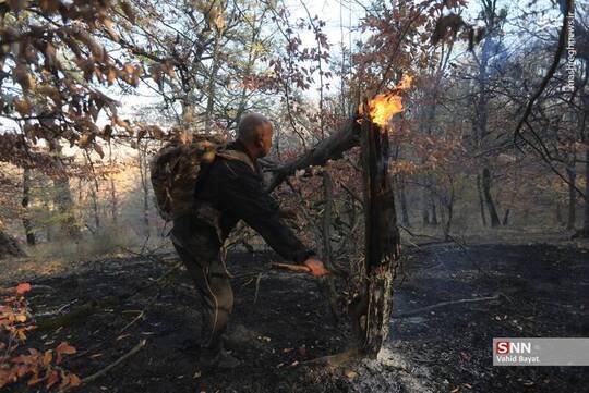 وزش باد مهار آتش جنگل‌های هیرکانی در شرق گلستان را سخت و کُند کرده است.