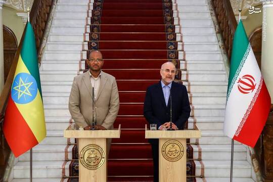 تاگسه چافو رئیس مجلس نمایندگان اتیوپی با حضور در بهارستان با محمدباقر قالیباف رئیس مجلس شورای اسلامی دیدار و گفت‌وگو کرد و در کنفرانس خبری مشترک با همتای ایرانی خود حضور پیدا کرد.