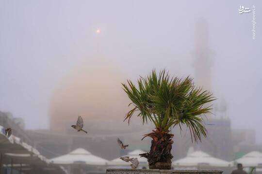 حرمین سامرا غرق در مه شد