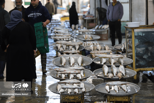 بازار یلدایی فروش ماهی در چالوس