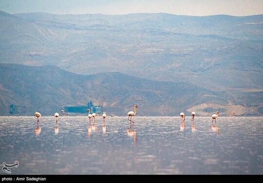 جانی تازه بر تن دریاچه مهارلو