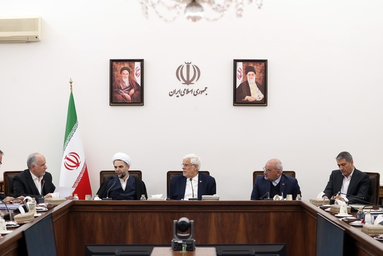 جلسه مشترک معاونان اول قوای قضاییه و مجریه