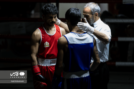 فینالیست‌های بوکس قهرمانی بزرگسالان کشور