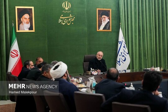 رئیس و اعضای کمیسیون کشاورزی، آب و منابع طبیعی با محمدباقر قالیباف رئیس مجلس شورای اسلامی دیدار و گفت‌وگو کردند.