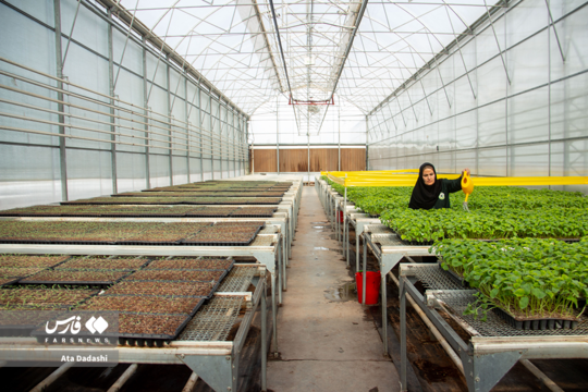 تخصیص ۱۱ هزار هکتار زمین برای انرژی خورشیدی در آذربایجان‌شرقی