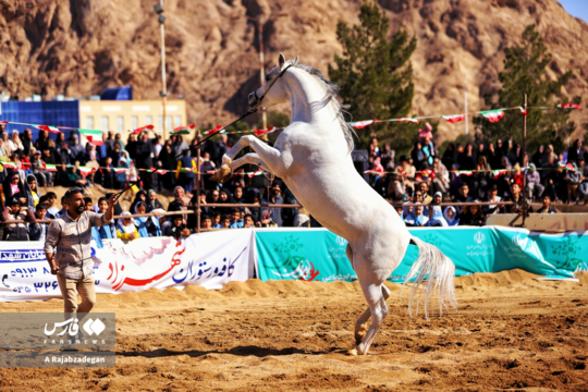 جشن خانوادگی و نمایش اسب‌های فاخر یزد