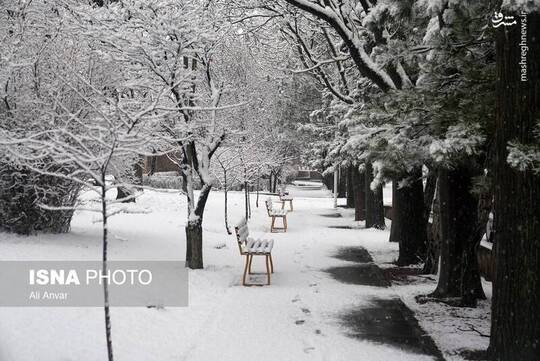 بارش برف زمستانی در اردبیل