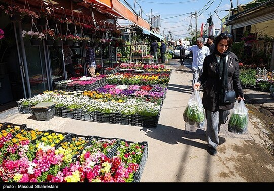 بازار گل تهران زیر سایه جنگ