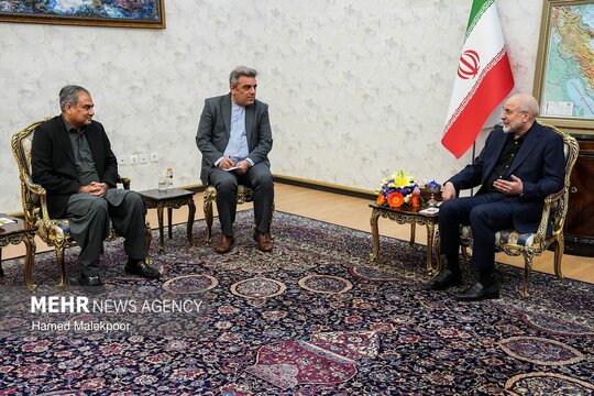سیدمحسن نقوی وزیر کشور پاکستان عصر روز یکشنبه با محمدباقر قالیباف رئیس مجلس شورای اسلامی دیدار و گفت‌وگو کرد.